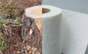 Hemp Toilet Paper