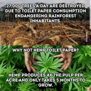 Hemp Toilet Paper